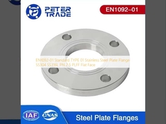 EN1092-01 TÍPICO TÍPICO 01 Flange de chapa de aço inoxidável SS304 SS316L PN 2.5 PLFF